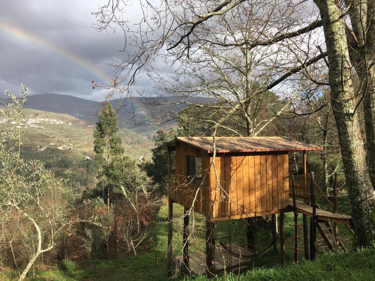 فيلا Palheiro Do Vale Do Paiva Cabril  المظهر الخارجي الصورة